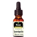 Rose (Rosa damascena)  5% diluted 5 mL